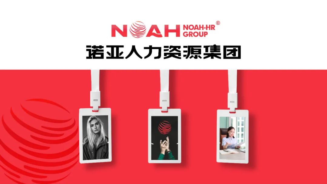 經(jīng)營產(chǎn)值56.58億，利稅總額1.6億 | 諾亞集團2024年企業(yè)發(fā)展年報新鮮出爐